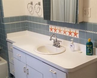 Bath vanity and mirrored medicine cabinet