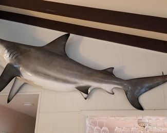 Don't let this catch get away!