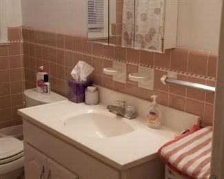 Bath vanity and mirrored medicine cabinet