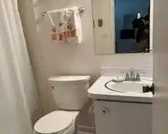 Bath vanity; updated commode