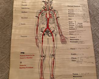 Vintage first aid chart