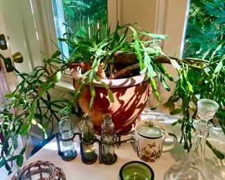 Christmas Cactus - Schlumbergera Truncata, Mid Century Green Glass Ashtray, Crystal Decanter