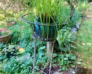 Ornamental Grass in Blue Ceramic Pot, Metal Plant Stand