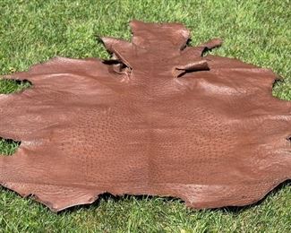 Ostrich Hide
