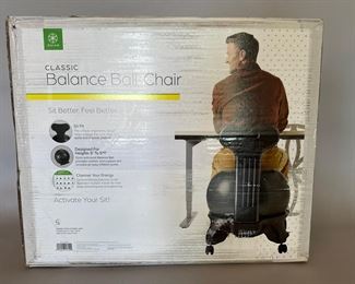 Classic Bouncer Ball Chair
