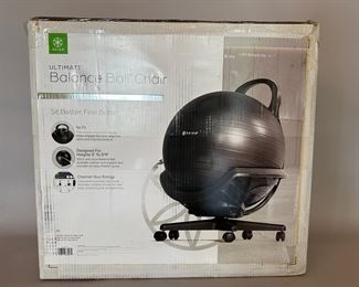 Ultimate Balance Ball Chair
