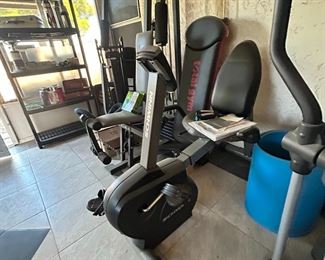Schwinn Recumbent Bike