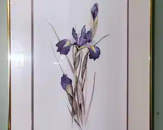 Signed and numbered framed Lyn Snow print