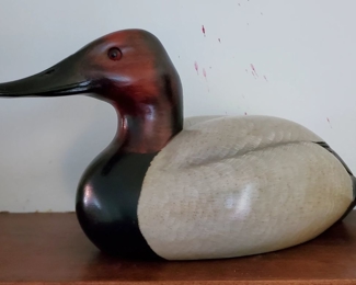 D.R. Jackson carved Canvasback