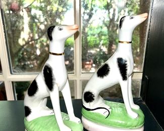 Staffordshire Whippet Greyhound Dogs