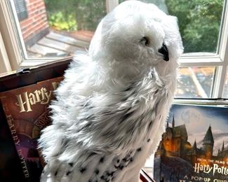 "Hedwig"