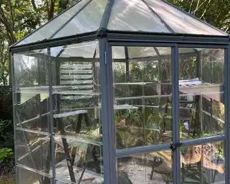 Canopia by Palram Oasis Hexagon Greenhouse