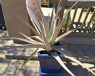 Great looking pot ! Bring this baby back to life !