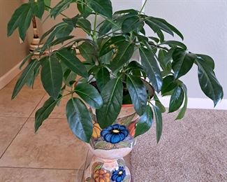 Beautiful! Needs a home !