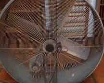 giant fan
