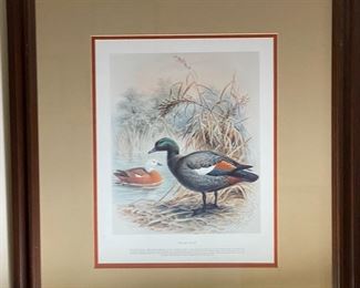 Art Duck