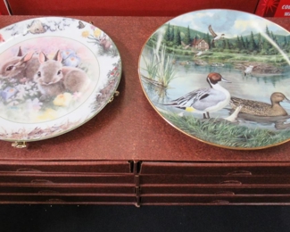 Collector Plates