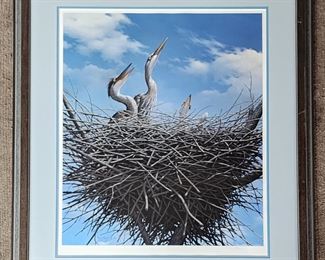 1992 Nancy Howe Pencil Signed Framed Print 3/500
