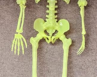 Life Sized Glow in the Dark Skeleton Halloween
