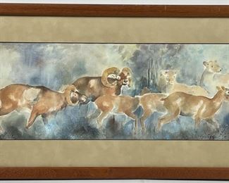 Framed, signed, Joy Campo water color original on paper of rams and ewes
