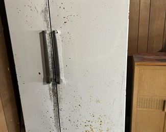 Old garage fridge works