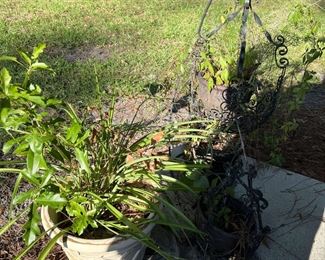 Hanging plants holders, hook and pots
