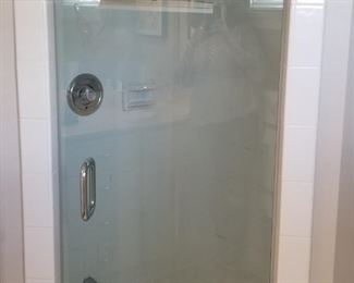 Shower door