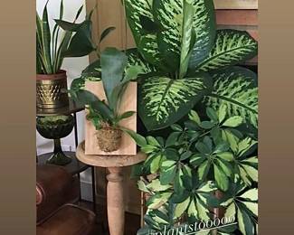 Available Saturday Sept 23 (8am - 3pm)