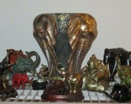 Elephant Collection