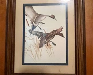 Duck print. Two of Two.