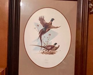 Pheasant print.