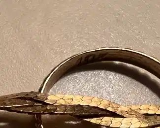 14K Gold Necklace with 10K Gold Ring