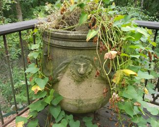 Huge beautiful cement pot (bring help loading) VERY HEAVY...I want this🤣
