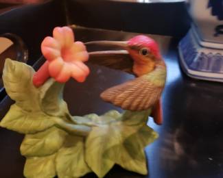 Hummingbird 