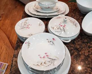 Royal Duchess 8 place settings + extras