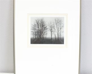 "Gathering Trees" by Richard Calvo Framed Photograph
