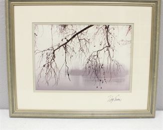 "Island in the Mist" by William Ervin Framed Photograph