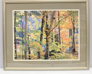 "Maple and Birches" Framed Photograph Print