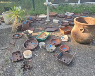 Bonsai pots