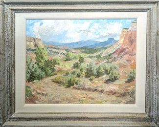 Santa Fe Canyon Lizer