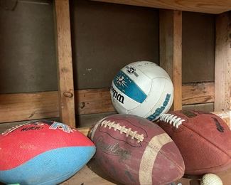 various sports balls