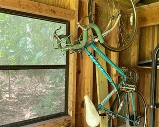 womens vintage road bike