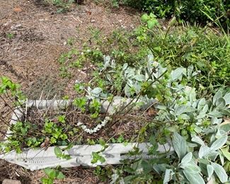 outdoor potted plants 