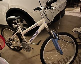 20’’ bike
