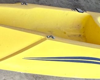 Cobra Fish n Dive Kayak with Stealth electric trolling motor, oars