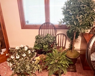 Plenty of Synthetic Trees and Plants