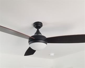Contemporary ceiling fan with light