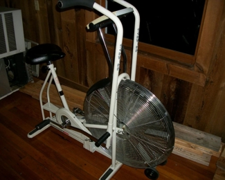 Schwinn Air-Dyne bike- works well