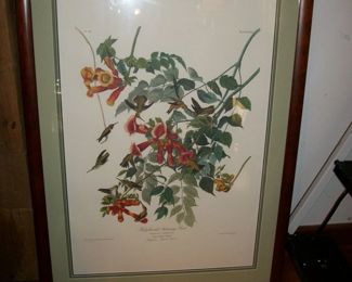 "Elephant Folio" Audubon of Hummingbirds- Limited Edition