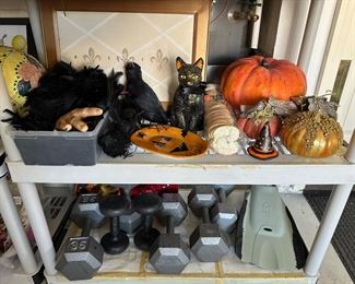 35 pound weights set, 30 pound weights set, ten pounds weight set, and one 20 pound single, Plus XL swimming fins, super fun Halloween decor inc. black feather boa, and photos or note board